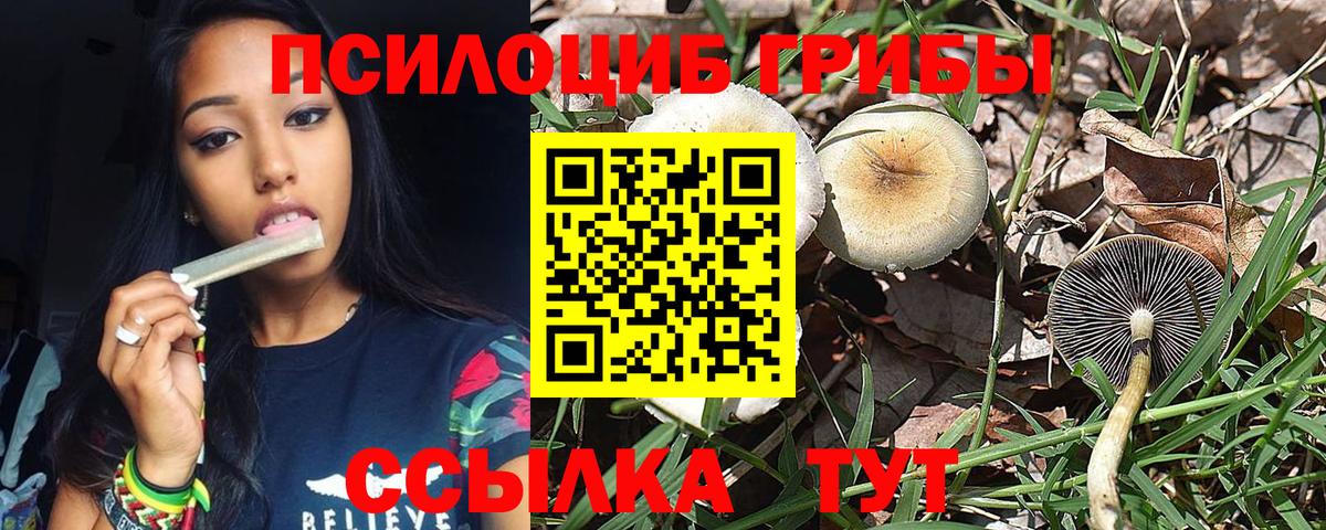 Каменск-Шахтинский  Галлюциногенные грибы MAGIC MUSHROOMS  Вход с VPN 