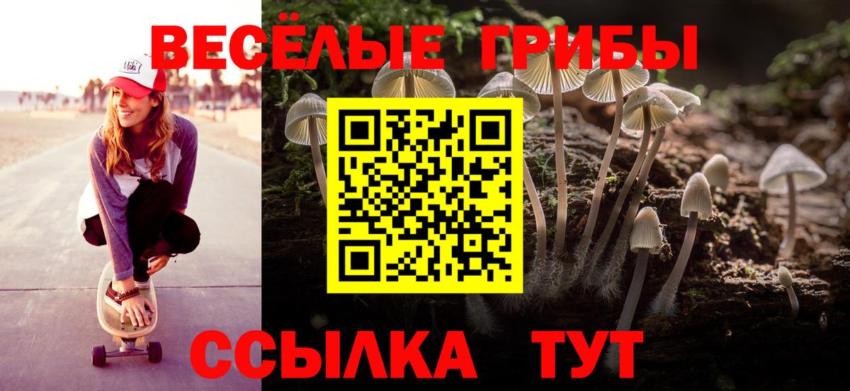 Галлюциногенные грибы Psilocybe Каменск-Шахтинский